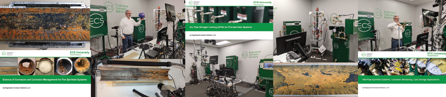 ECSU Virtual Banner