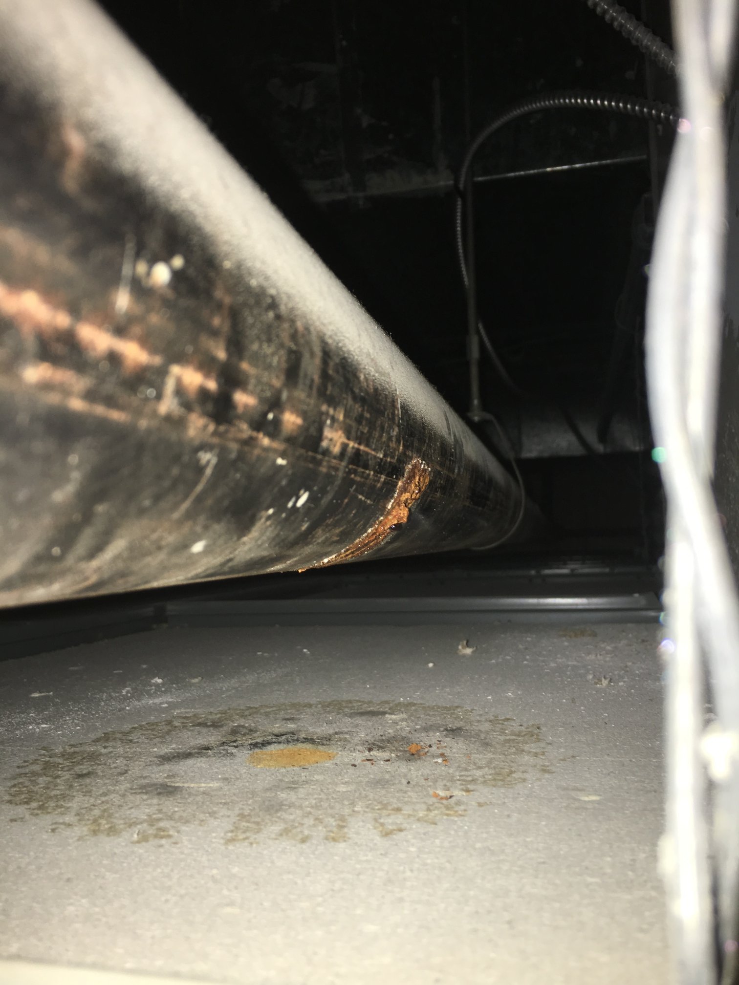 Nitrogen Generator and Corrosion Management with ECS Corrosion