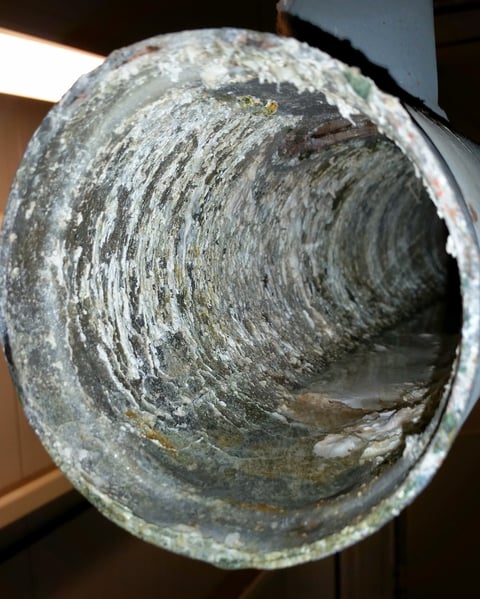 freezer storage with nitrogen-no frost build up